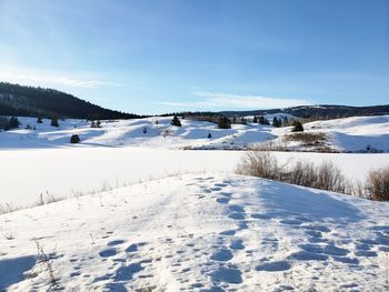 Snow covered landscape against blue sky