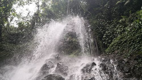 Scenic view of waterfall