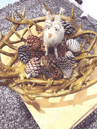 High angle view of birds in basket