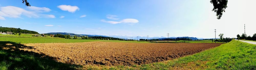 Scenic view of agricultural field against sky