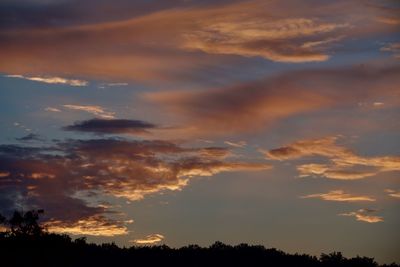 Low angle view of silhouette trees against sky at sunset