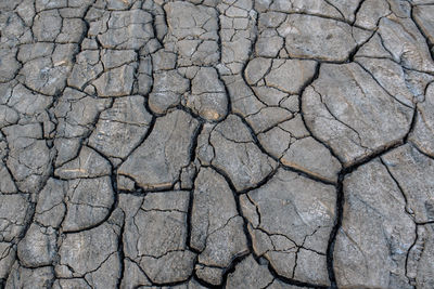 Dry ground near mud volcanoes, berca, romania