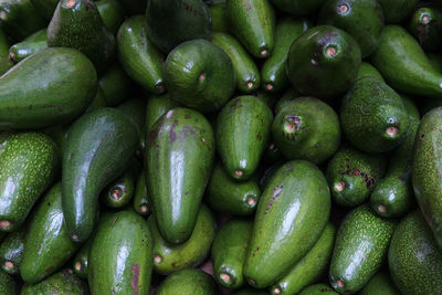 Full frame shot of avocado fruit