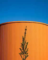 Low angle view of plant against clear blue sky