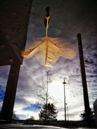 Low angle view of sky during sunset