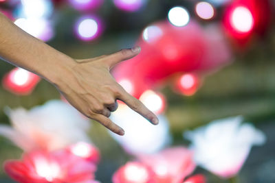 Close-up of hand on pink flowering plant