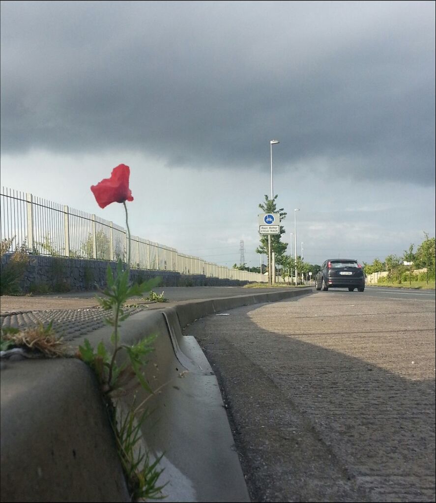 sky, cloud - sky, cloudy, built structure, architecture, the way forward, road, building exterior, cloud, red, overcast, street light, street, weather, day, transportation, footpath, railing, road marking, outdoors