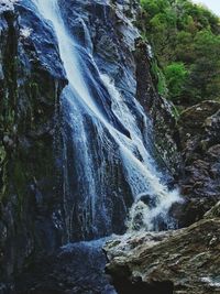 Scenic view of waterfall in forest