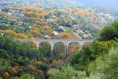 Arch bridge amidst trees in forest during autumn