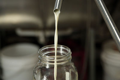Filling mason jars with milk at a local dairy in carbondale, colorado.