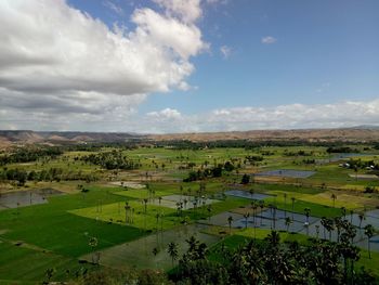 Scenic view of agricultural field against sky