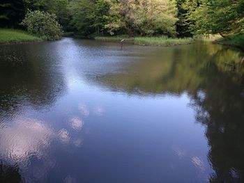 Scenic view of lake in forest against sky