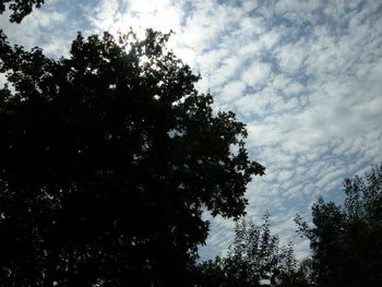 Low angle view of trees against cloudy sky