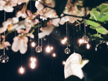 Close-up of christmas lights hanging from tree