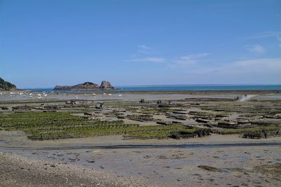 Scenic view of beach against blue sky