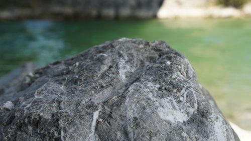 Close-up of rock in water