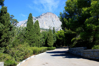 Scenic view of trees and mountains against sky