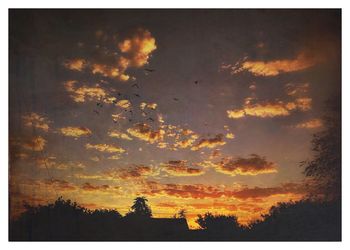 Silhouette of trees against sky at sunset