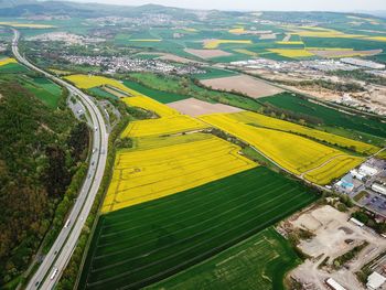 High angle view of agricultural field