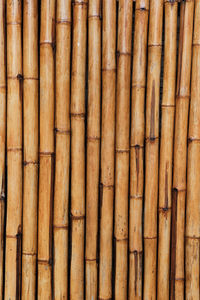 Full frame shot of bamboo