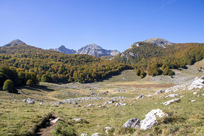 Scenic view of landscape and mountains against clear blue sky