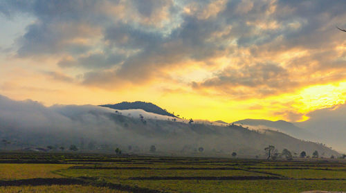 Scenic view of agricultural field against sky during sunset