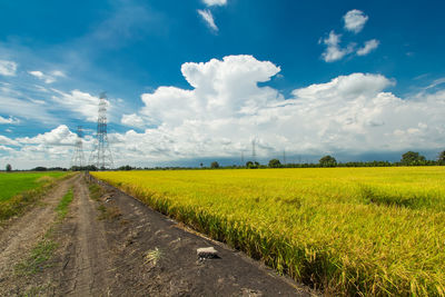 Scenic view of field against sky