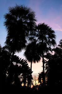 Low angle view of silhouette palm trees against sky at sunset