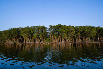 Scenic view of lake against clear blue sky