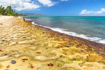 Scenic view of beach against sky