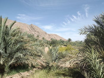 Scenic view of land against sky