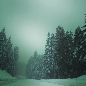 Trees on snow covered landscape against sky