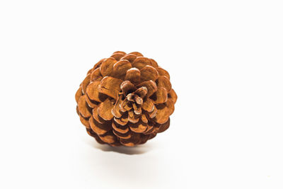 Close-up of pine cone against white background