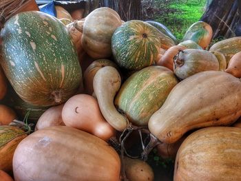 Close-up of pumpkins for sale at market stall