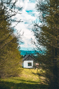 Trees and houses on field against sky