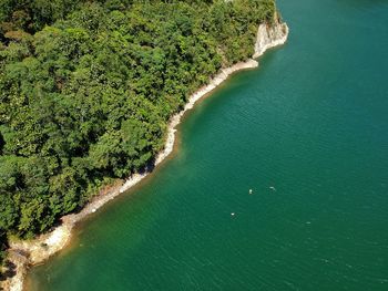 High angle view of plant on beach