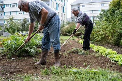 gardening