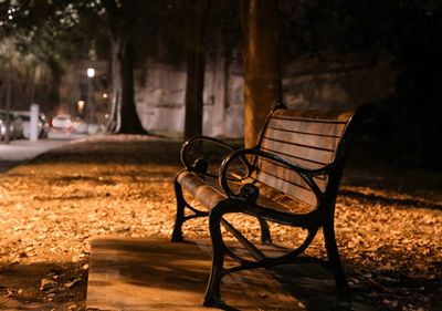 Empty bench in park