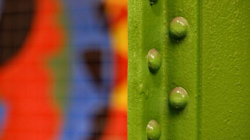 Full frame shot of multi colored leaf