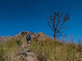 Rear view of man walking on trail against clear blue sky