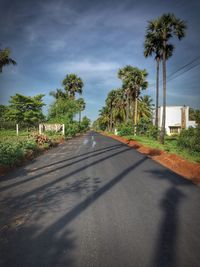 Road by trees against sky