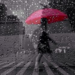 Low section of man walking on wet road during rainy season