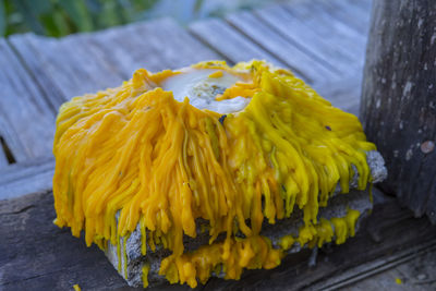 Close-up of yellow marigold flowers