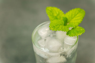 Close-up of ice cream in glass