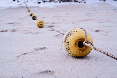 Line of yellow buoys tied by rope on the beach