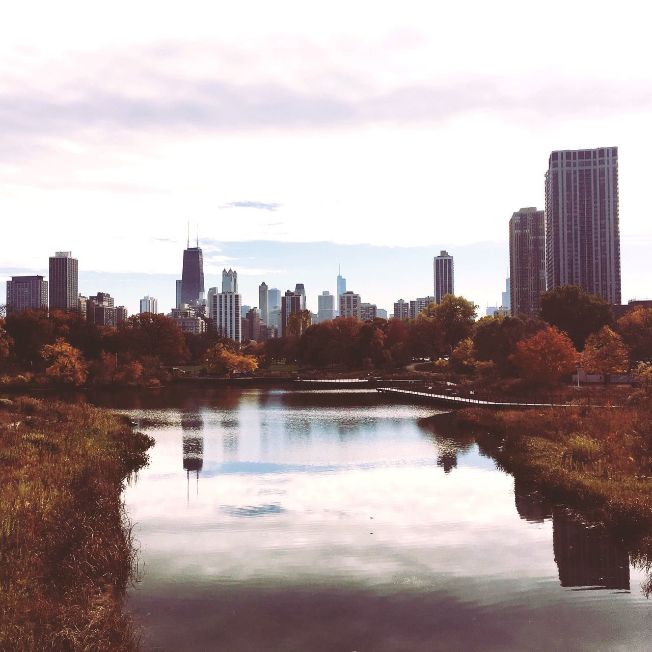 architecture, built structure, building exterior, water, city, reflection, sky, river, tree, growth, skyscraper, urban skyline, outdoors, cloud - sky, cityscape, no people, modern, waterfront, day, nature