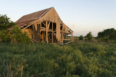 Plants growing on field