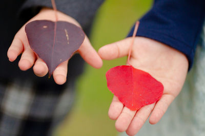 Close-up of hand holding heart shape
