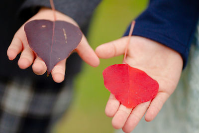 Close-up of hands holding autumn leaves