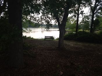 Scenic view of lake with trees in background